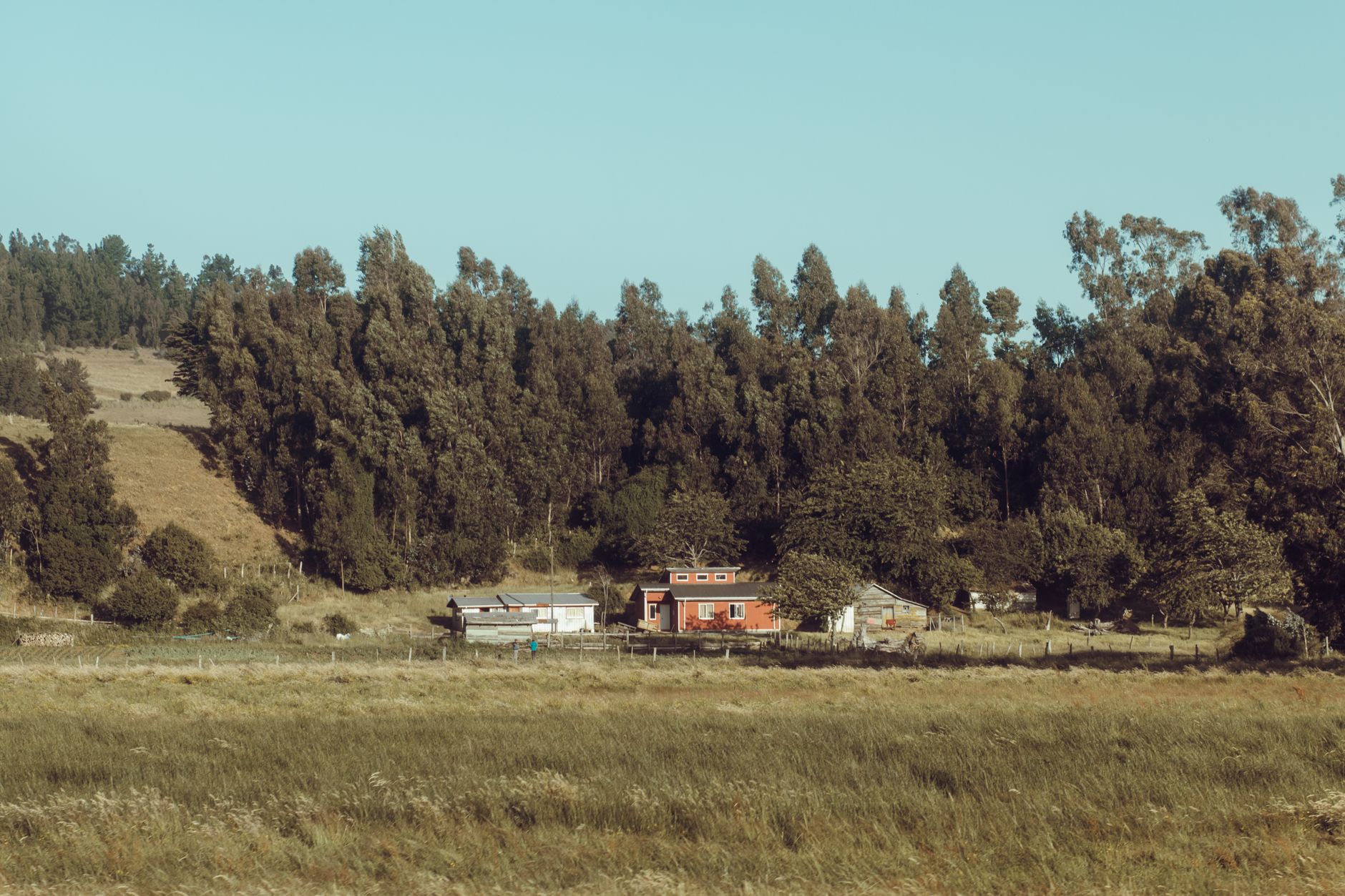 Rural landscape of south-central Chile near the Andes, the region devastated by the 1939 earthquake