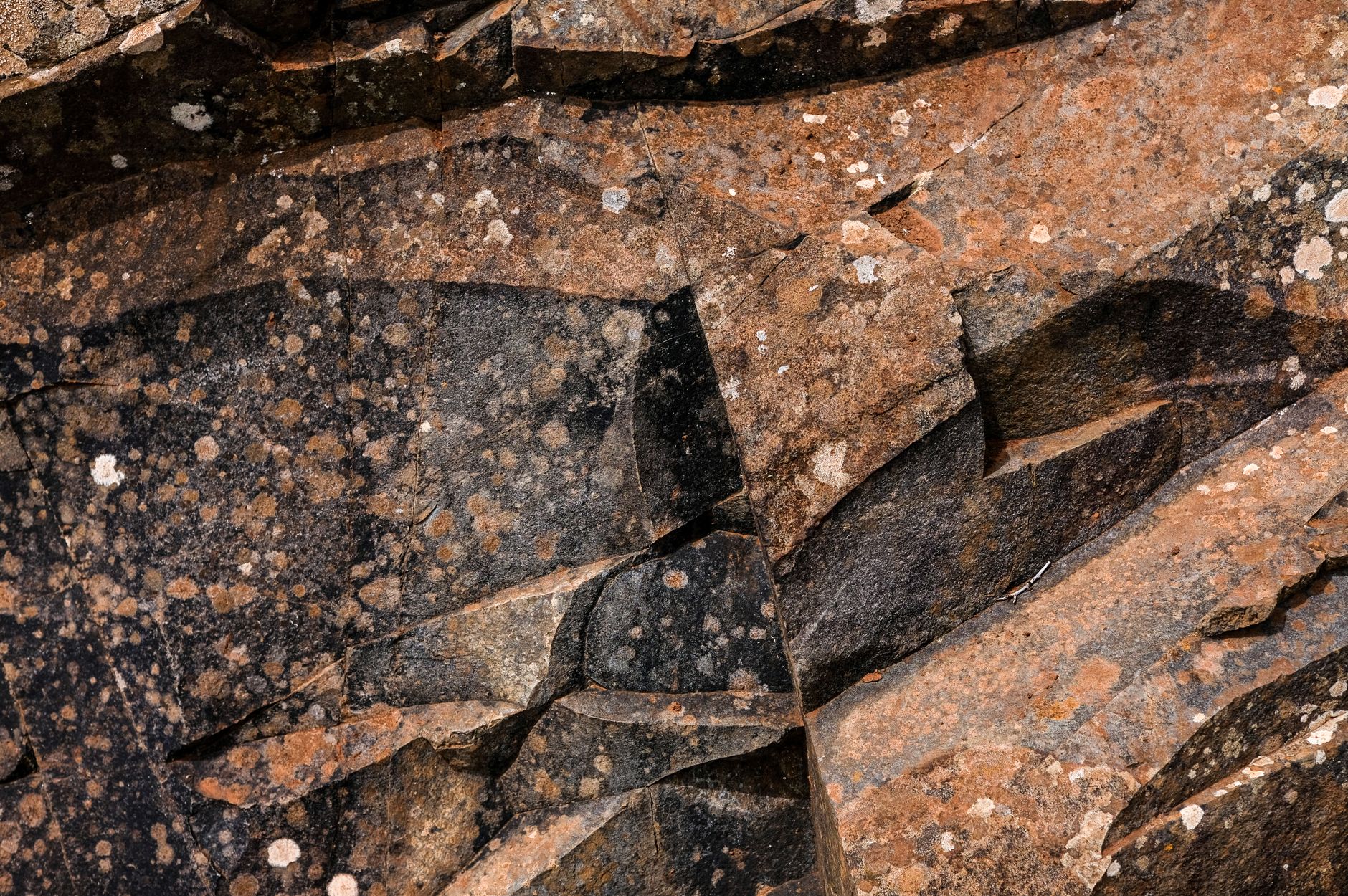 Placas tectónicas y capas geológicas bajo la superficie terrestre