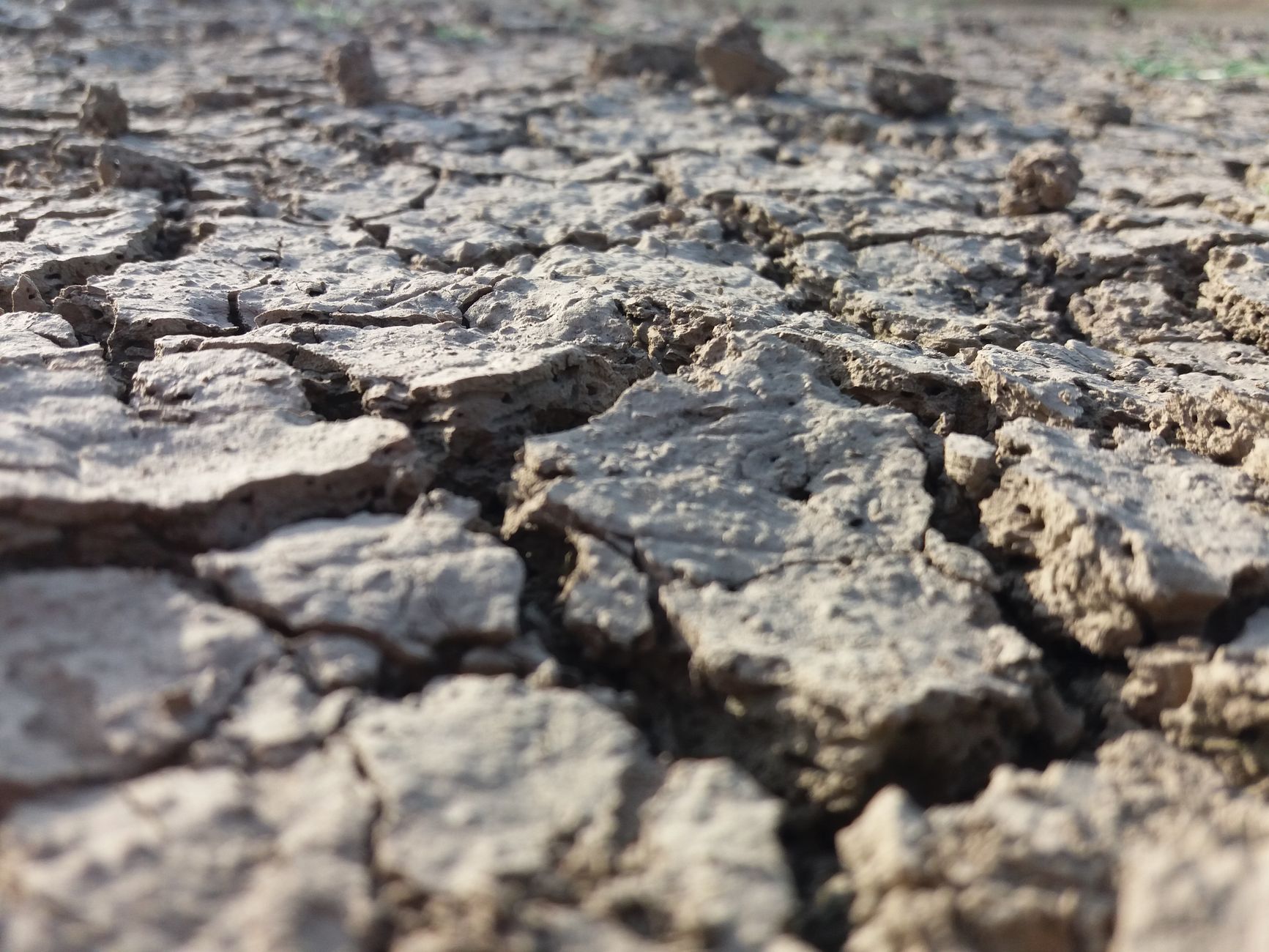 Superficie de carretera agrietada por ruptura del terreno, el tipo de falla superficial documentada tras el terremoto de El Asnam de 1980