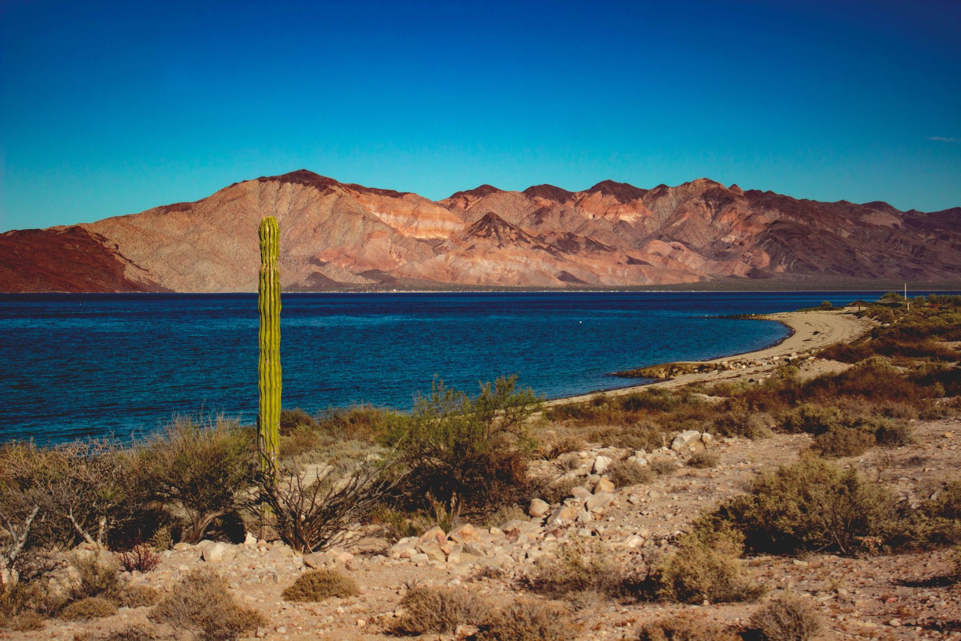 Desert mountains of Baja California, cut by the Agua Blanca and San Miguel faults