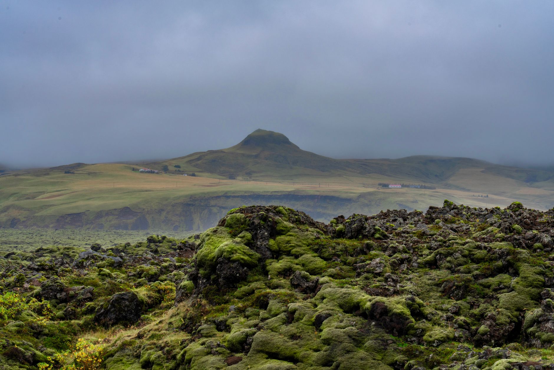 Campo de lava volcánica en Islandia, a lo largo de la Dorsal Mesoatlántica