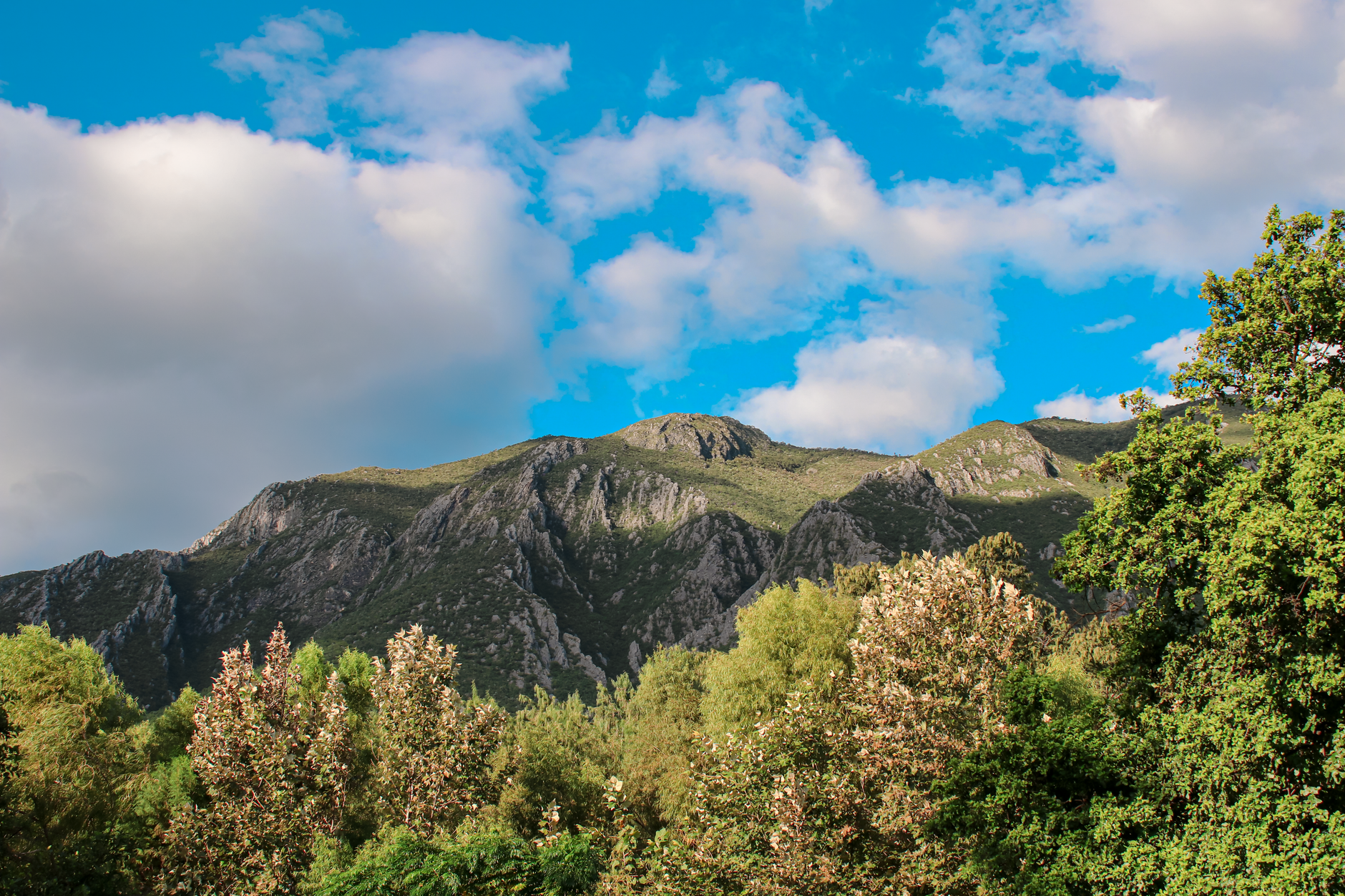Sierra Madre Oriental range near Monterrey, a geologically stable region