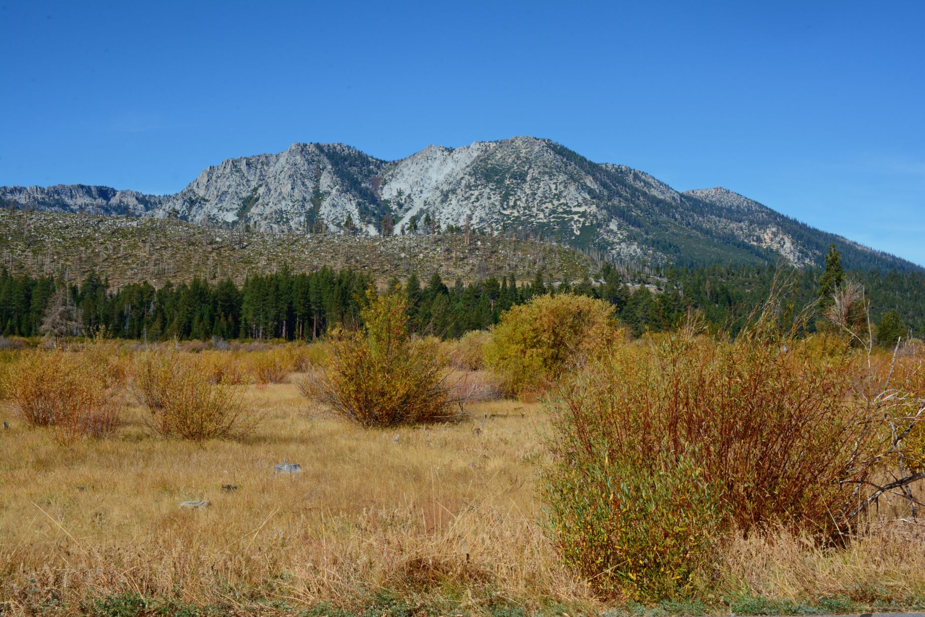 Estribaciones de Sierra Nevada al este de Sacramento, California