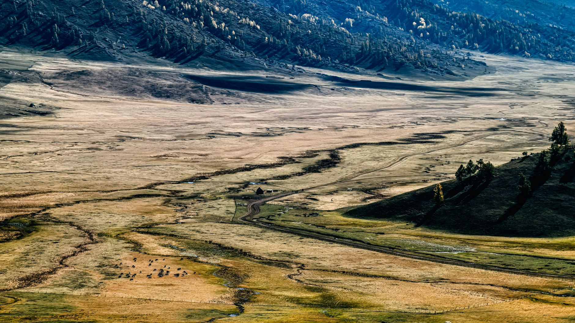 Paisaje de valle montañoso árido en Asia Central, cerca de la zona sísmica que golpeó la provincia de Herat en 2023