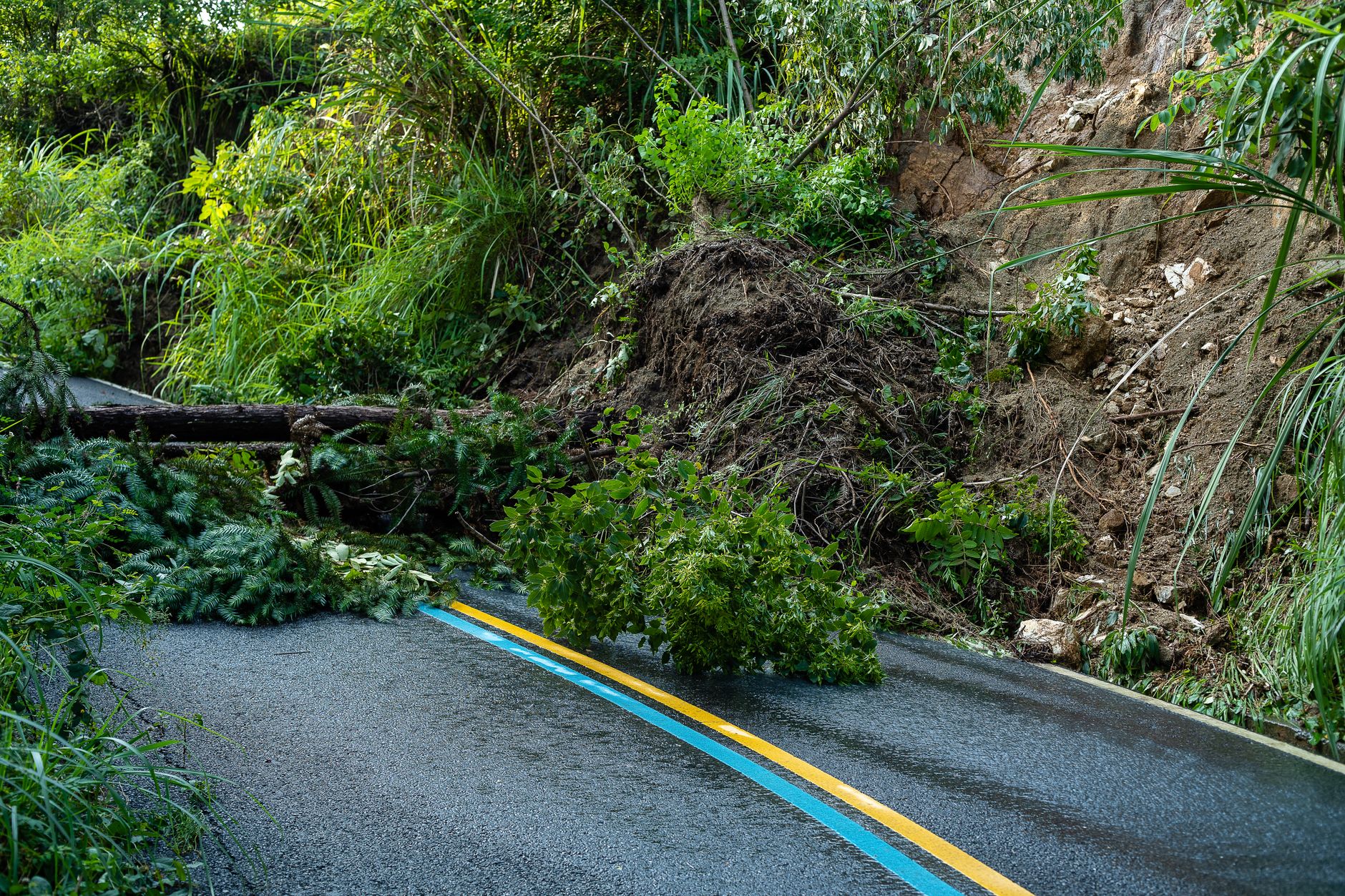 Autopista costera bloqueada por un deslizamiento, el tipo de destrucción que aisló Kaikōura por tierra durante semanas en 2016