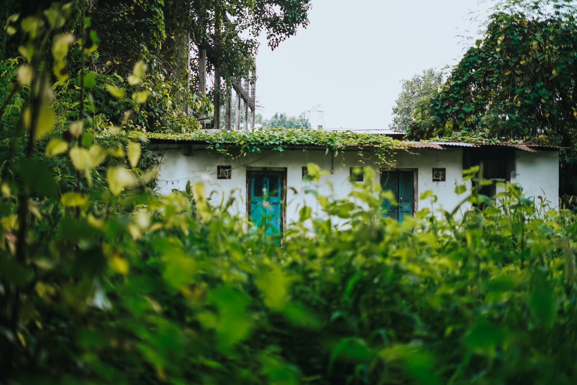 Casas de un pueblo rural de Maharashtra, India, similares a Killari antes del terremoto de Latur de 1993