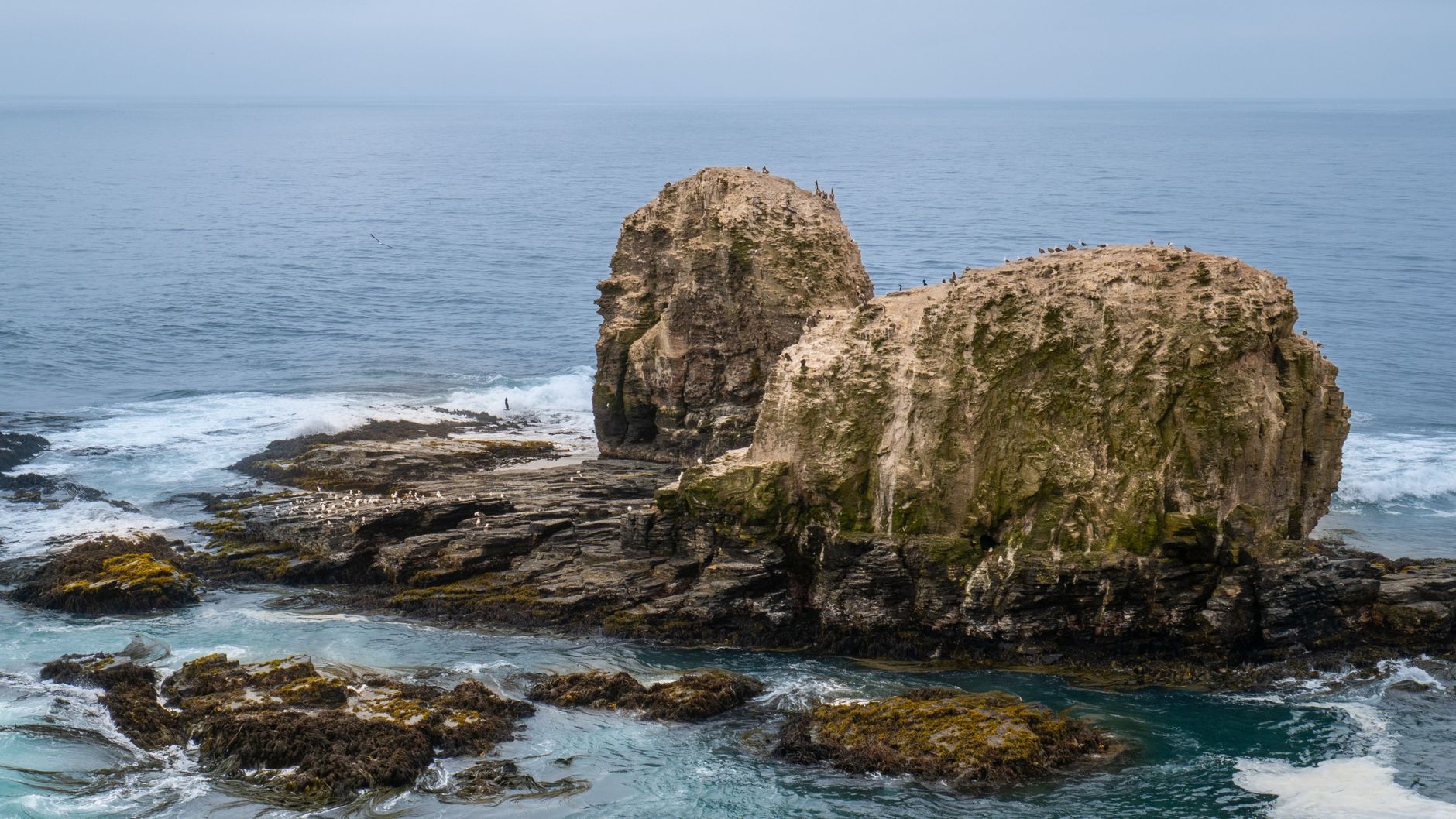 Pacific coastline of central Chile, near where the 2010 Maule earthquake ruptured offshore