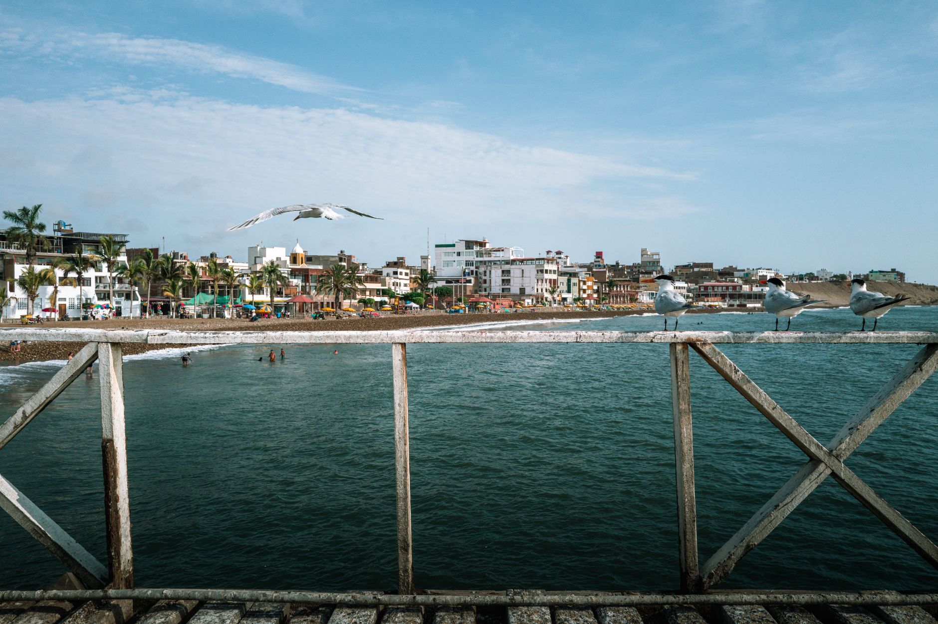 Pacific coastline of Peru, near the Ica region struck by the 2007 Pisco earthquake