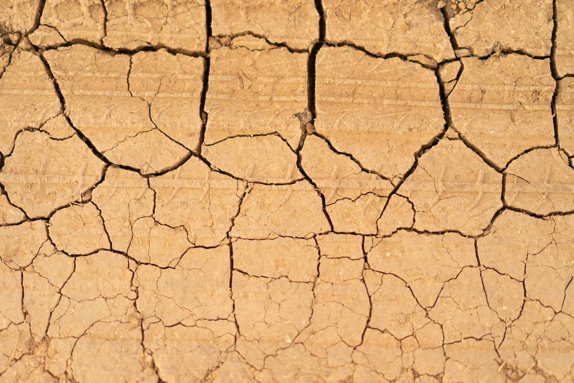 Superficie de carretera del desierto agrietada, el tipo de ruptura del terreno que dejó el terremoto de Ridgecrest en el desierto de Mojave